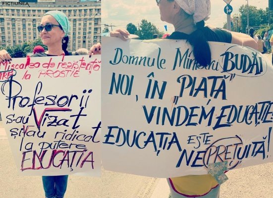 Alina Karina NIȚU - Schimbarea la față