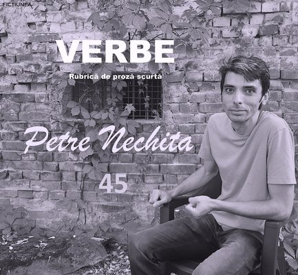 Petre NECHITA - Verbe. 45. Studii lingvistice aprofundate