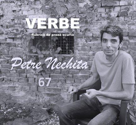 Petre NECHITA - Verbe. 67. Pierdut