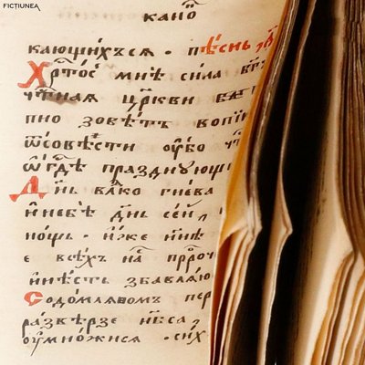 Emma NEAMȚU - În favoarea normalității sau pentru noua programă