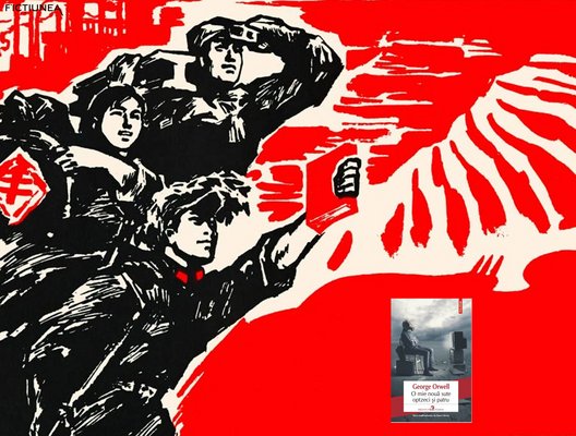 Cătălina-Andreea Dumitru - 1984: manual de supraviețuire canonică