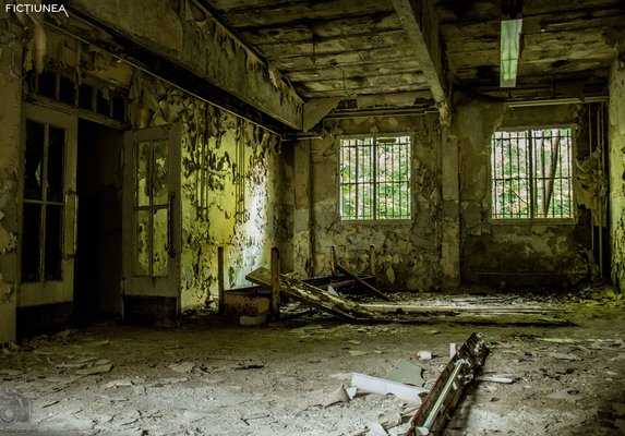 Roxana RUSCIOR - O ușă întredeschisă