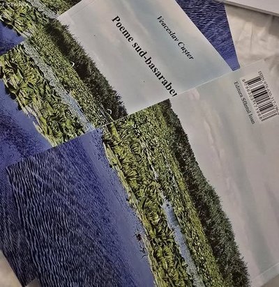 Virgil BORCAN - Cartea unui om care a ales să scrie taciturn