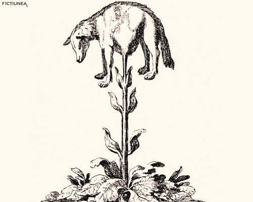 Cristian DRĂGAN - Zōóphyton