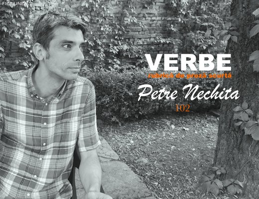 Petre NECHITA - Verbe. 102. Ancheta